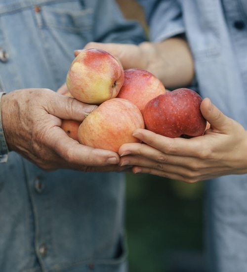 Older people holding a bunch of apples